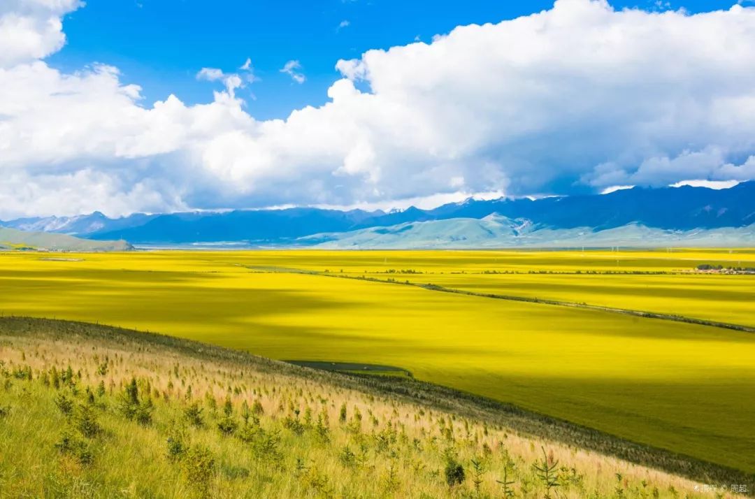 高原瑰宝,青海——蓝色明珠的璀璨之光