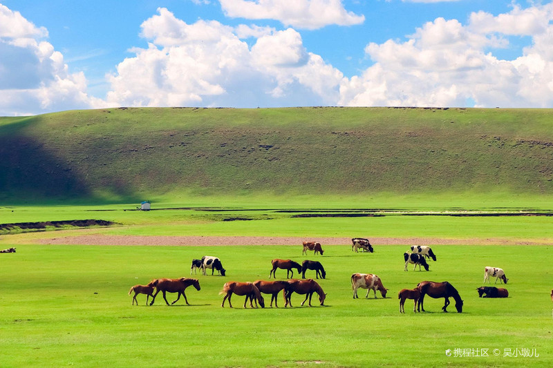 探秘呼伦贝尔,邂逅神秘小巷中的特色小店