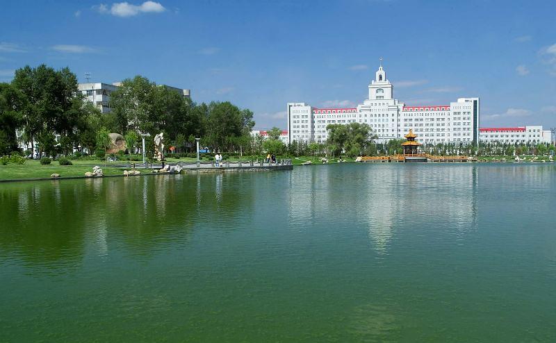 哈尔滨探秘，小巷独特风味之旅